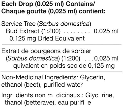 UNDA Gemmo Therapy - Sorbus Domestica - Service Tree Buds - 4.5 fl oz (125 ml)