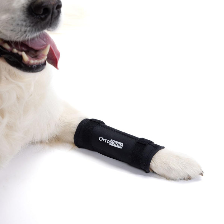 - Carpal Support for Dogs with Arthrosis, Ligament Injuries or Unstable Carpus, Size XL
