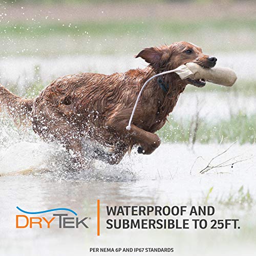Brand YardTrainer 300 Remote Trainer - Static Collar With Remote, Waterproof, Submersible Up To 25 ft, Equipped with DryTek Technology, Trainer with static, vibrate and tone