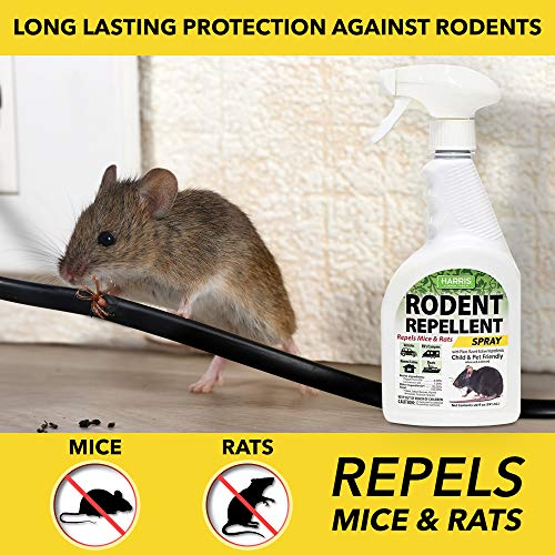 Harris Peppermint Oil Mice & Rodent Repellent Spray for House and Car Engines, Humane Mouse Trap Substitute, 20oz