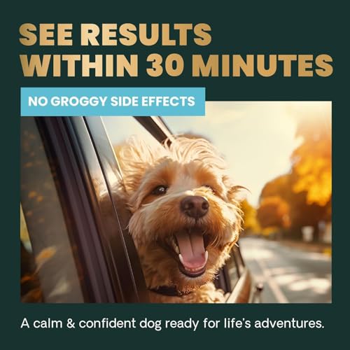 Calm & Confident Chews, Composure Clinically Tested Calming & Anxiety Supplement for Dogs, Reduce Stress & Fear, Ideal for Thunderstorms, Fireworks & Travel, Chicken, 60 Count