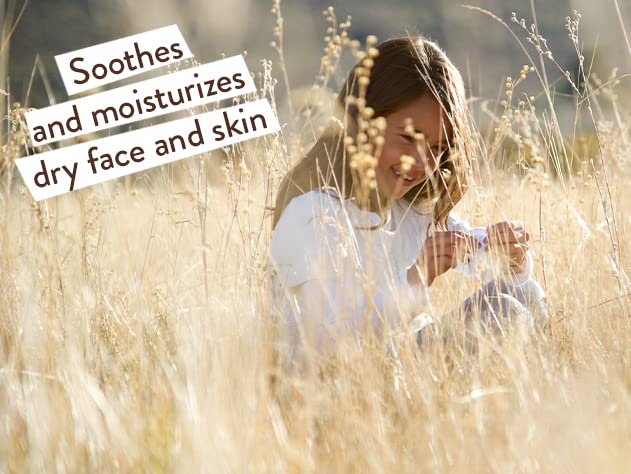 Moisturizing Oat & Calendula Miracle Face Cream - Shea Butter - For Dry or Sensitive Skin - For all ages - Vegan