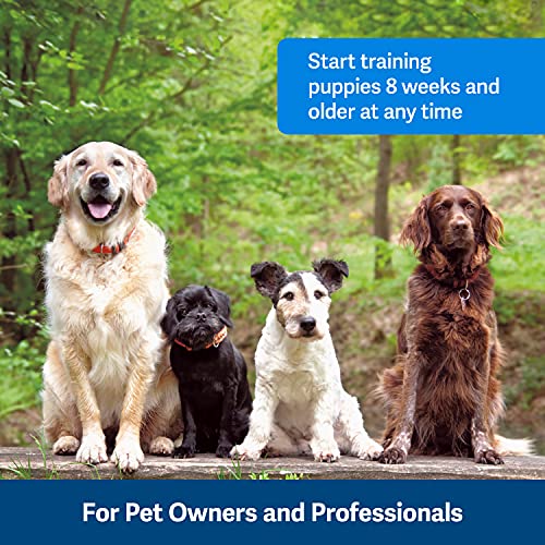 Clik-R Dog Training Clicker - Positive Behavior Reinforcer for Pets - All Ages, Puppy and Adult Dogs - Use to Reward and Train - Training Guide Included - Purple
