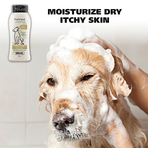 USA Dry Skin & Itch Relief Pet Shampoo for Dogs – Oatmeal Formula with Coconut Lime Verbena & Pet Friendly Formula, 24 Oz - Model 820004A