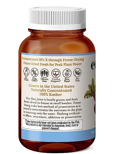 Raw Fresh Freeze-Dried Beet Juice Powder | 3.2 oz