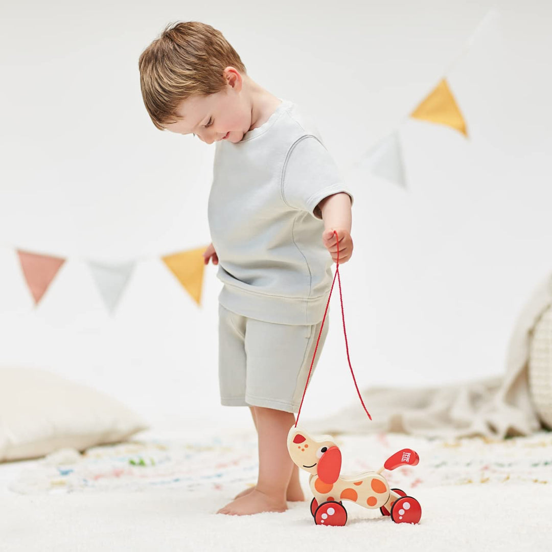 (1, 40 x 40 cm) - E0347 Pepe Pull Along - Walk Along Wooden Dog Toy - Virtual Pet