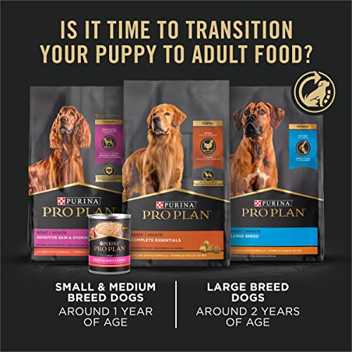 High Protein Dry Puppy Food, Chicken and Rice Formula - 18 lb. Bag