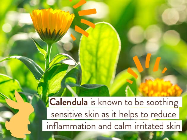 Moisturizing Oat & Calendula Body Lotion - For Dry or Sensitive Skin - For all ages - Vegan - Lightly Scented