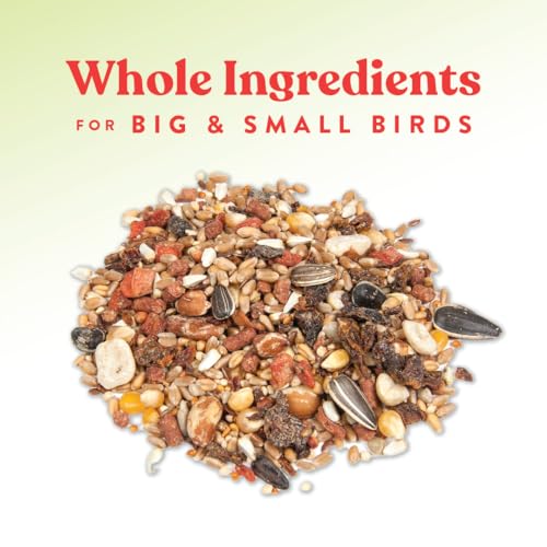 Harvest Delight, Whole Ingredient Chicken Treat, Harvest Mix of Grains, Raisins, Tomatoes, Carrots, Sunflower Seeds, Mixed Flock Poultry Treat, 2.25 lbs