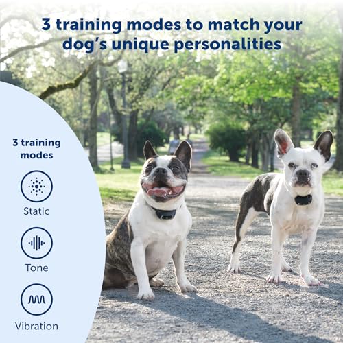 Add-A-Dog Remote Training Collar – Perfect for Small, Medium and Large Dogs – Choose from Tone, Vibration, or 15 Levels of Static Stimulation – Waterproof and Durable – Rechargeable