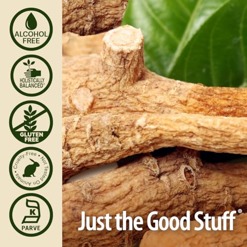 Nature's Answer Ginseng American Root Alcohol-Free, 1-Fluid Ounce | Promotes Vitality | Immune Support Booster | Improves Cognitive Function | Natural Energy Increase