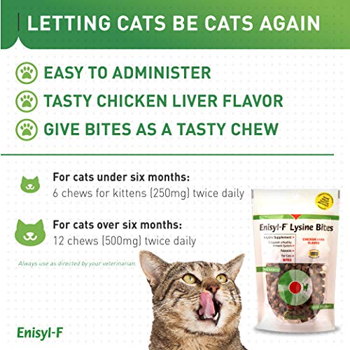 Enisyl-F Lysine Bites: L-Lysine Chews for Cats & Kittens - Chicken Liver-Flavor, 6.4oz (180g) Recloseable Bag