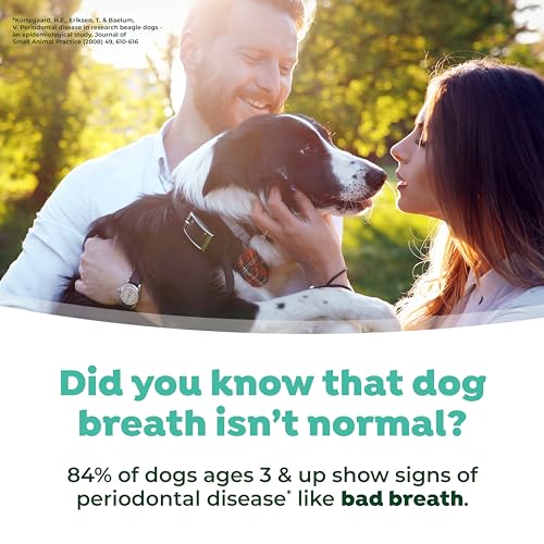 Fresh Breath Dental Foam Spray for Dogs & Cats | Quick Breath Freshener and Teeth Cleaning Solution | Made in The USA | 4.5oz.