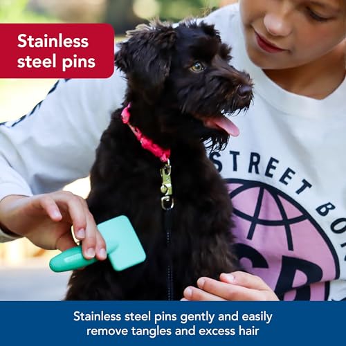 Pet Li'l Pals Dog Slicker Brush with Coated Tips - Dog Grooming Brush for Small Breeds & Puppies - One Size