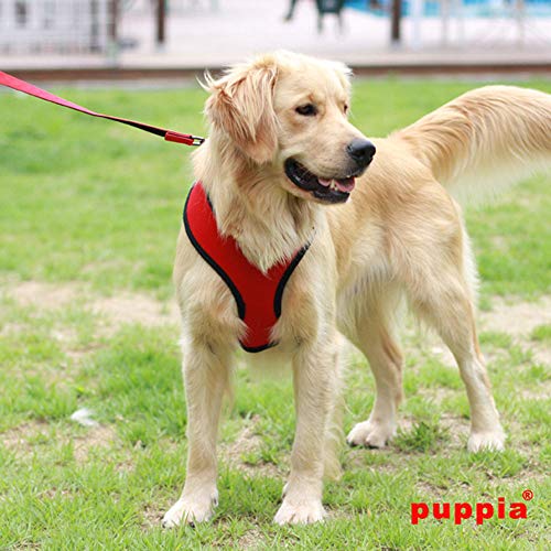 Authentic Soft Dog Harness, Red - Medium