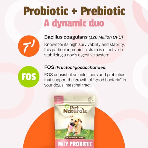 Daily Probiotic for Dogs, Duck Flavor, 160 Chews - 120M CFUs Pre and Probiotics for Dogs Digestive Health, Gut Health, Immune Support, Diarrhea, Allergies and Itching