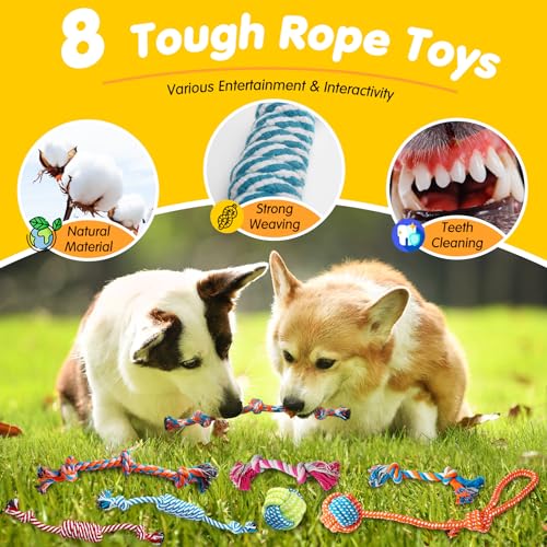 25 Pack Luxury Dog Chew Toys for Puppy, Dog Toys with Ropes, Treat Ball and Squeaky Puppy Toys for Teething Small Dogs