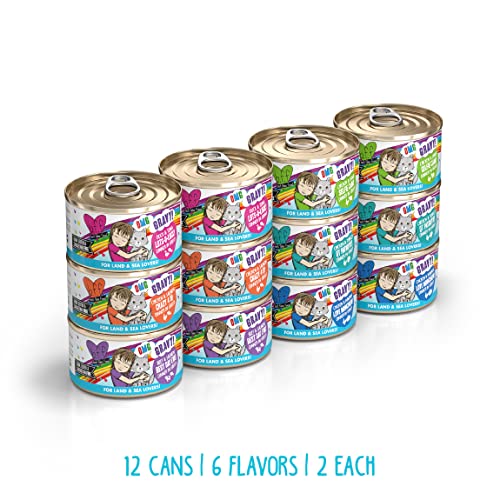 B.F.F. OMG - Best Feline Friend Oh My Gravy!, Variety Pack, Rainbow Road, Wet Cat Food by, 2.8oz Can (Pack of 12)