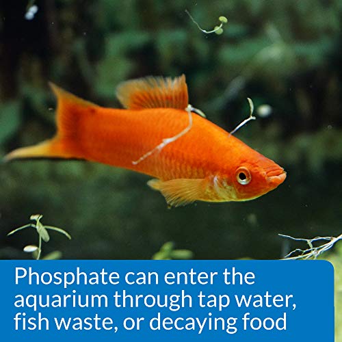 Phosphate Test Kit For Freshwater And Saltwater, 64 OUNCES