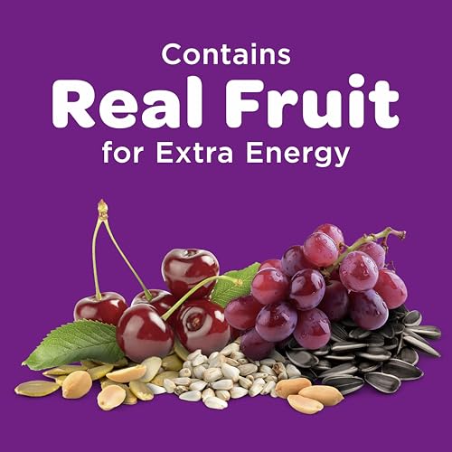 Nut & Fruit Wild Bird Seed, 5 lb