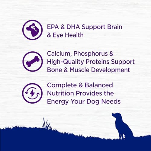 Complete Health Puppy Dry Dog Food, Large Breed, Wholesome Grains, Natural, Chicken, Oatmeal, & Salmon Recipe, (30-Pound Bag)