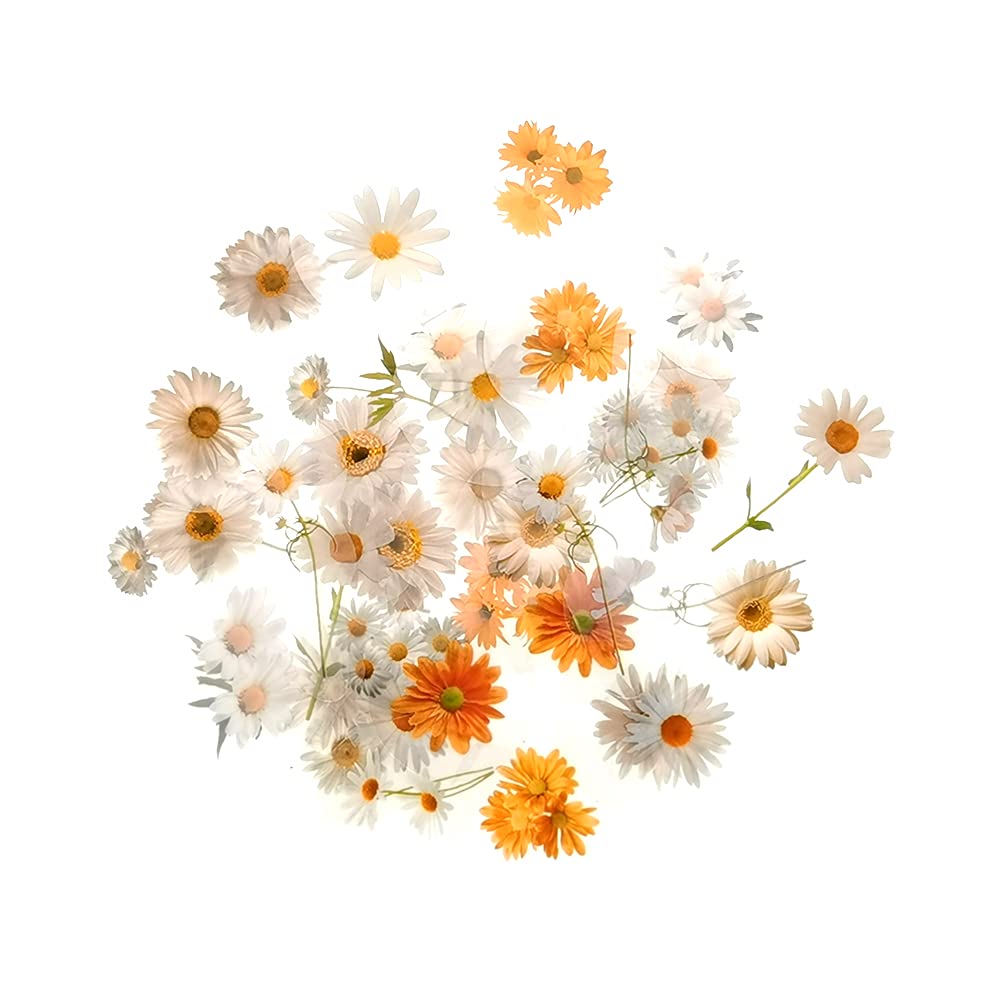 40 Pcs Flower Stickers Plant Washi Sticker Pack for Diary, Album, Notebook, Bullet Journal, DIY Arts and Crafts, Calendars (Daisy)