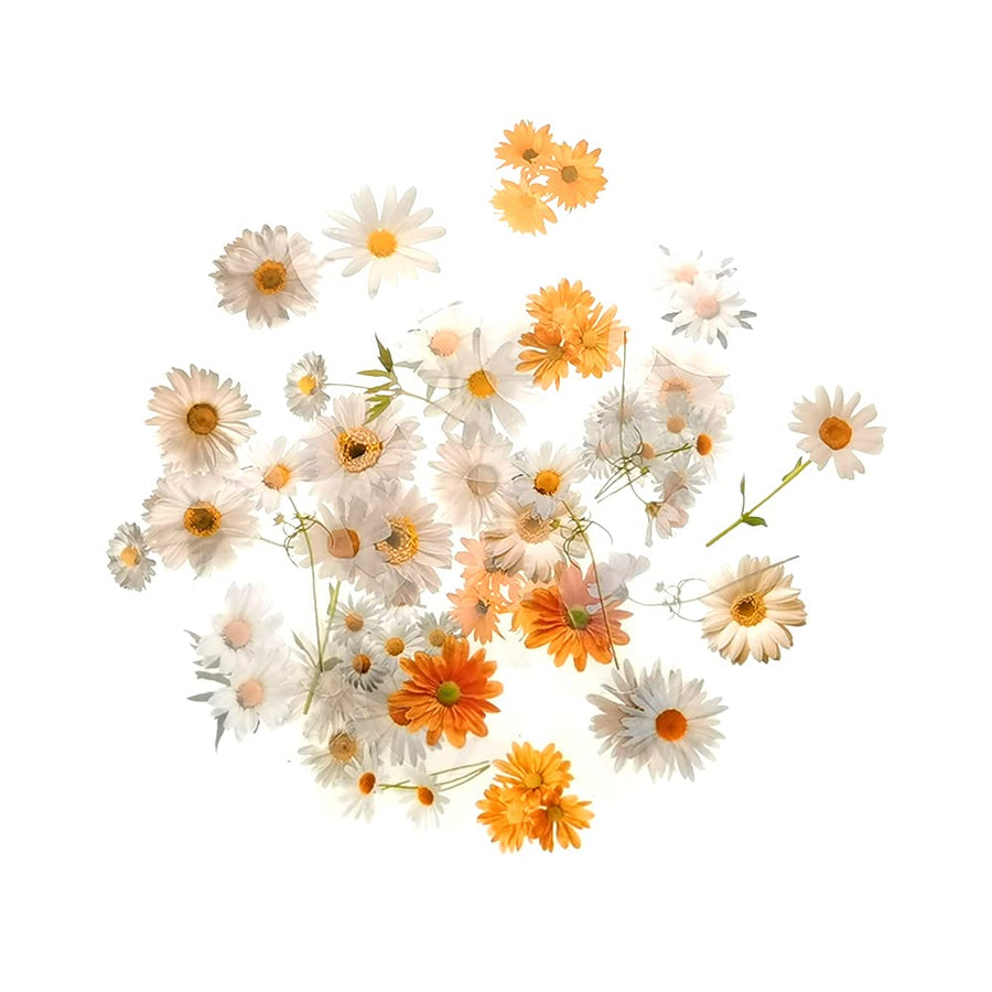 40 Pcs Flower Stickers Plant Washi Sticker Pack for Diary, Album, Notebook, Bullet Journal, DIY Arts and Crafts, Calendars (Daisy)