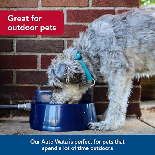 Pet Bergan Auto-Wata - Outdoor Dog & Cat Water Dispenser - Automatic Water Bowl for Pets - Made from Durable, BPA-Free Plastic - Self-Watering Cat & Dog Bowl - Navy, 48 Ounces