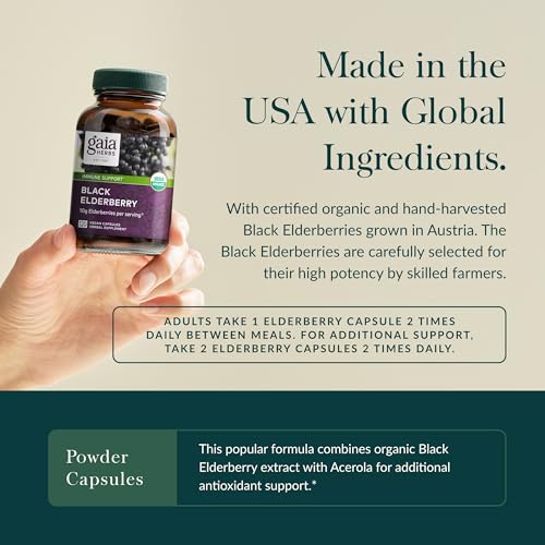 Black Elderberry - Daily Immune Support Supplement to Help Maintain Well-Being- with Black Elderberries and Acerola Fruit for Antioxidant Support - 120 Vegan Capsules (60-Day Supply)