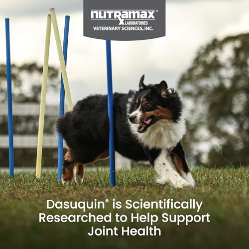Dasuquin with MSM Joint Health Supplement for Large Dogs - With Glucosamine, MSM, Chondroitin, ASU, Boswellia Serrata Extract, and Green Tea Extract, 150 Soft Chews