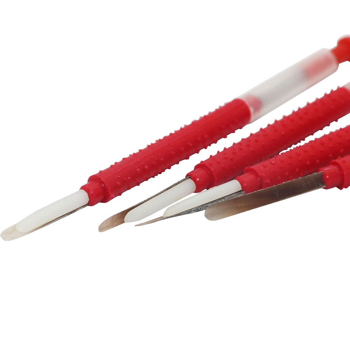 Beekeeping Moving Grafting Tools Bee Hive Moving Insect Needle Bee Tool 12pcs