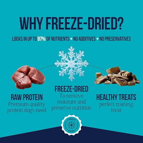 Freeze Dried Beef Liver (2 oz)