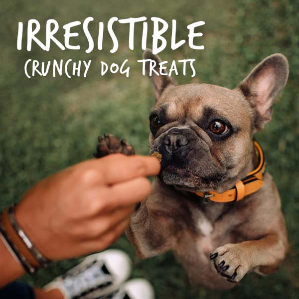 Baked Dog Treats, Healthy Pumpkin Treat for Dogs, Low Calorie & Delicious, Free of Wheat, Corn and Soy, Made in the USA, Pumpkin and Banana Flavor, 7oz