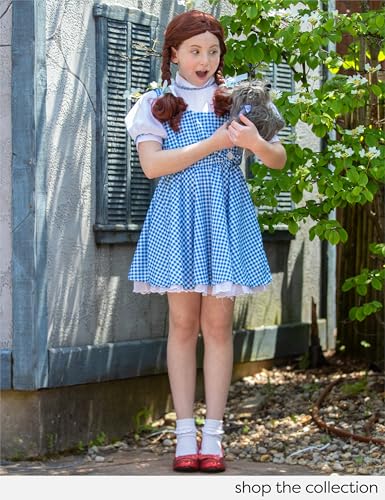 Wizard of Oz Dorothy's Toto in A Basket Costume Accessory