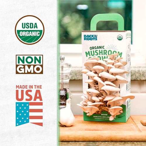 Organic Oyster Mushroom Grow Kit, Harvest Gourmet Mushrooms In 10 Days
