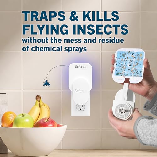 Home Indoor Plug-In Fly Trap - SH502 - Effective Fruit Fly Traps for Indoors, Gnat Traps for House Indoor, 400 Sq Ft Protection - Style: 1 Device + 2 Glue Cards