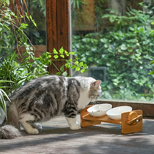 Elevated Cat Ceramic Bowls, Small Dog 15° Tilted Raised Food Feeding Dishes, Solid Bamboo Water Stand Feeder Set for Cats and Puppy