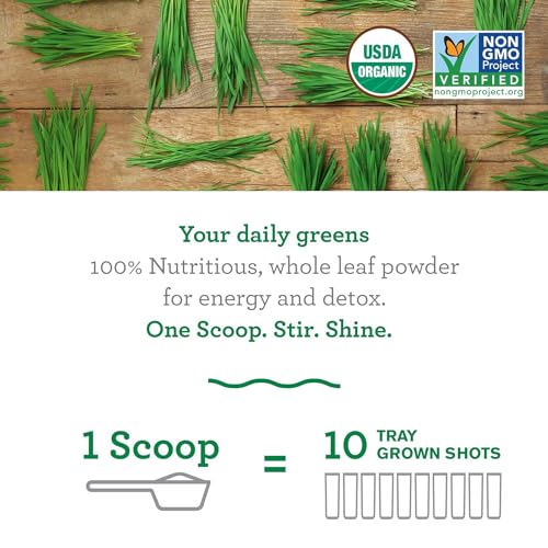 Wheat Grass Powder: 100% Whole-Leaf Wheat Grass Powder for Energy, Detox & Immunity Support, Chlorophyll Providing Greens, 30 Servings