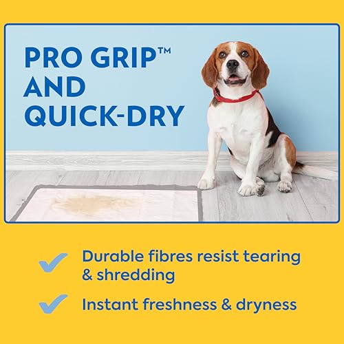 Petcare XXL Dog Training Pads, Heavy Duty Dog Pee Pads XXL, Jumbo Puppy Pads, Wee Wee Pads for Dogs and Puppies, Dog House Training, Leak Proof, Safe, Disposable, 26x30, 30 Ct