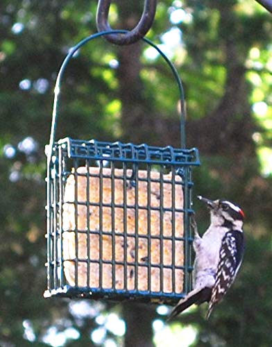 Suet Cake Jumbo Mixed 20 Pack | 10 Peanut & 10 Berry 10.5 oz. Suet Cakes for Wild Birds