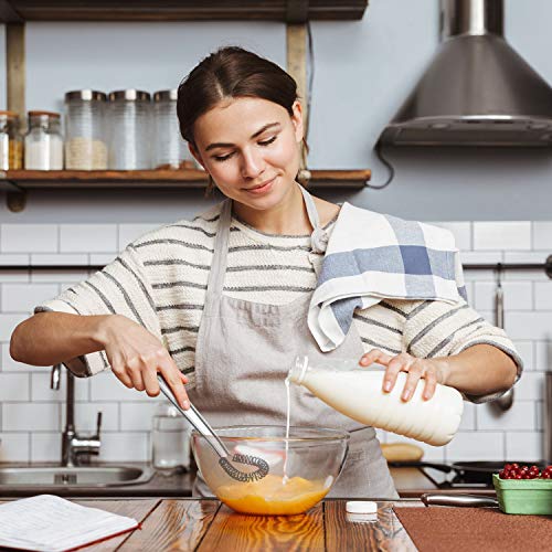4 Pieces Egg Beater Stainless Steel Mini Spring Coil Whisk Silicone Whisk Hand Held Sauce Stirrer Blender Milk Frother Foamer Coffee Mixer