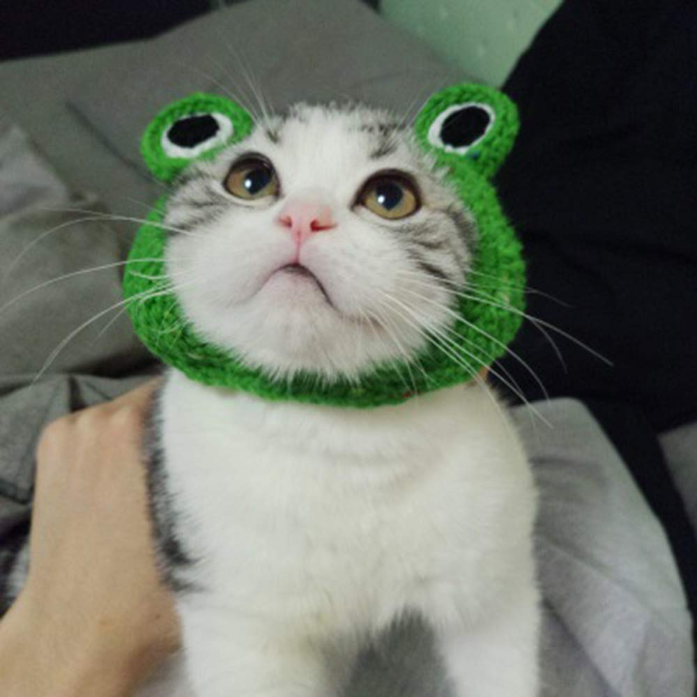 Adorable Pet Funny Hat Cartoon Frog Shape Pet Cap Weaving Puppy Cat Hat Pet Grooming Supplies for Everyday Decoration Christmas Halloween Decoration Use 1PCS