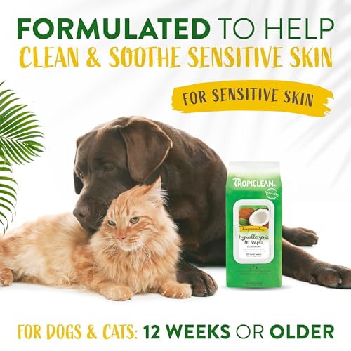 Hypoallergenic Dog Wipes for Paws, Butt, Face and Body, Safe for Puppy, Puppy Essentials, Cleaning Deodorizing, Unscented, Cat Safe, 100ct