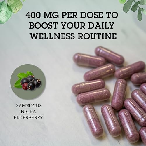 Health Black Elderberry Supplement Sambucus Nigra Extract 400mg Daily Immune Support & Wellness Boost of Powerful Antioxidants for Women & Men - 60 Capsules