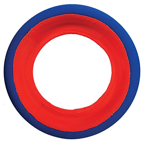 Fetch Wheel Outdoor Dog Toy, Large, For Large Breeds