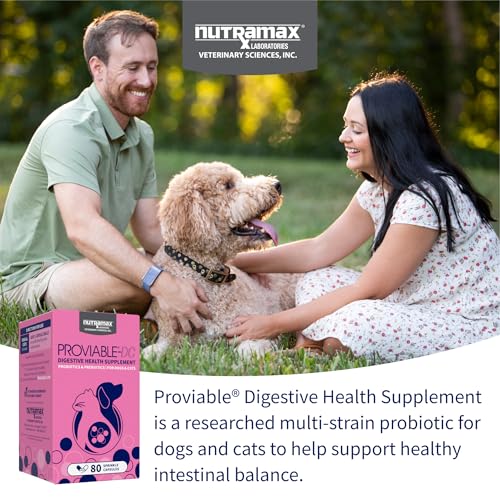 Nutramax Probiotics for Dogs and Cats, Daily Digestive Health Supplement with Multiple Strains of Bacteria, Cat and Dog Probiotics Plus Prebiotics, 80 Capsules