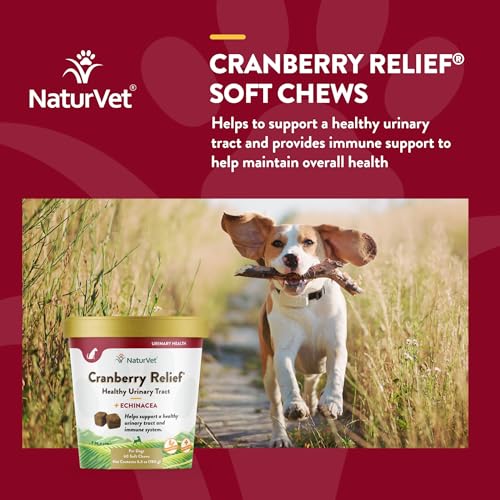 – Cranberry Relief Plus Echinacea – Helps Support a Healthy Urinary Tract & Immune System – 60 Soft Chews