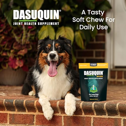 Dasuquin with MSM Joint Health Supplement for Large Dogs - With Glucosamine, MSM, Chondroitin, ASU, Boswellia Serrata Extract, and Green Tea Extract, 150 Soft Chews