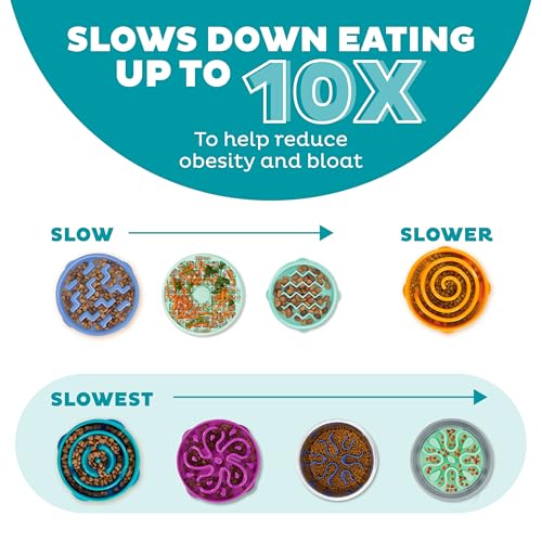Fun Feeder Slo Bowl, Slow Feeder Dog Bowl, Large/Regular, Turquoise