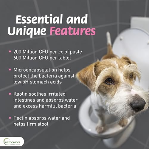 Pro-Pectalin Chewable Tablets for Dogs & Cats, Helps Relieve Occasional Diarrhea in Cats and Dogs, Situational Diarrhea Relief with Kaolin and Pectin, Contains Beneficial Probiotic Bacteria, 250ct